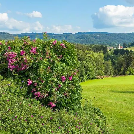 Appartamento Obstwiese