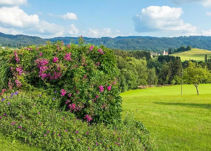 Apartamento Obstwiese